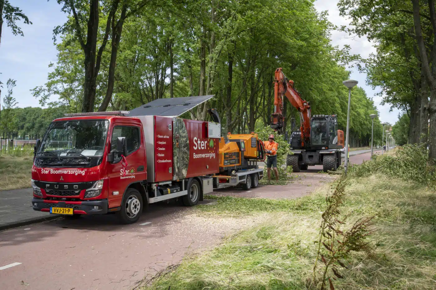 Ster Boomverzorging uit Abcoude is als bedrijf gespecialiseerd in het werk in en rondom bomen. Van aanplanten tot het rooien van bomen, Ster verzorgt het allemaal. Ster Boomverzorging opereert op het moment in Amsterdam-West, waar alleen al 12.500 bomen gesnoeid moeten worden.